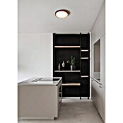Eglo Fueva 6 Downlight empotrable LED redondo (14,2 W, Ø x Al: 28 x 2 cm, Negro, Blanco cálido) | BAUHAUS
