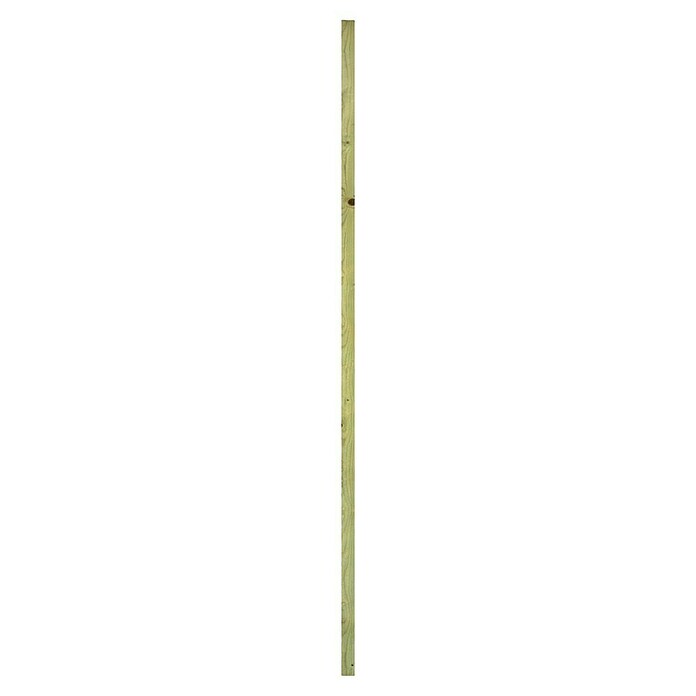 CanDo Wandpaneel (Bruin, 240 x 4 cm) | BAUHAUS