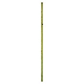 CanDo Wandpaneel (Bruin, 240 x 4 cm) | BAUHAUS