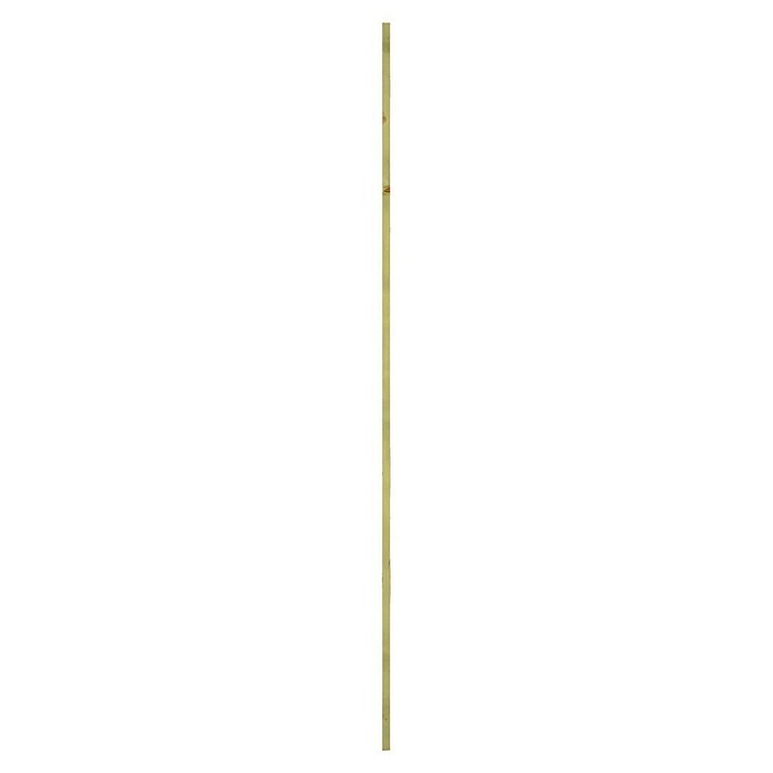 CanDo Wandpaneel (Bruin, 240 x 4 cm) | BAUHAUS