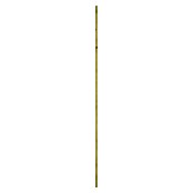 CanDo Wandpaneel (Bruin, 240 x 4 cm) | BAUHAUS