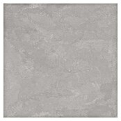 Tau ceramica Keramische tegel Cosmopolitan Silver (60 x 60 cm, Silver, Mat) | BAUHAUS