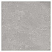 Tau ceramica Keramische tegel Cosmopolitan Silver (60 x 60 cm, Silver, Mat) | BAUHAUS