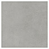 Tau ceramica Vloertegel Cancan (60 cm x 60 cm x 8,5 mm, Grijs, Mat) | BAUHAUS