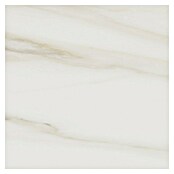 Tau ceramica Keramische tegel Bergamo White (60 x 60 cm, Wit, Mat) | BAUHAUS