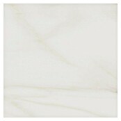 Tau ceramica Keramische tegel Bergamo White (60 x 60 cm, Wit, Mat) | BAUHAUS
