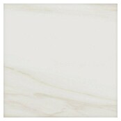 Tau ceramica Keramische tegel Bergamo White (60 x 60 cm, Wit, Mat) | BAUHAUS