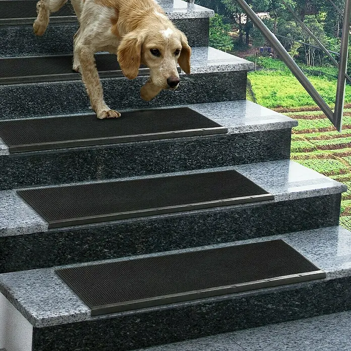 Stufenmatte Santi - 65 x 25 cm, 100 % Gummi, Schwarz - Ein Hund geht eine mit schwarzen Matten ausgelegte Granittreppe hinunter, die zusätzliche Sicherheit bieten.
