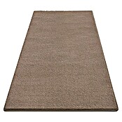 Kurzflorteppich Dynasty (Hellbraun, 300 x 100 cm, 100 % Polypropylen) | BAUHAUS