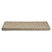 Stufenmatte Kalkutta (65 x 23,5 cm, Taupe, Rechteck) | BAUHAUS