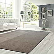 Kurzflorteppich Lyon (Braun, 250 x 100 cm, 100 % Polypropylen) | BAUHAUS