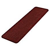 Stufenmatte Leipzig (60 cm x 25 cm x 4,4 mm, Rot) | BAUHAUS