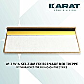 Stufenmatte Geneva (65 x 23,5 cm, Beige, Rechteck) | BAUHAUS