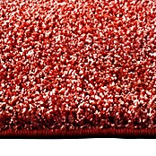 Hochflorteppich Bali (Rot, 200 x 200 cm, 100 % Polypropylen) | BAUHAUS