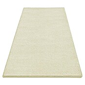 Kurzflorteppich Dynasty (Creme, 400 x 100 cm, 100 % Polypropylen) | BAUHAUS