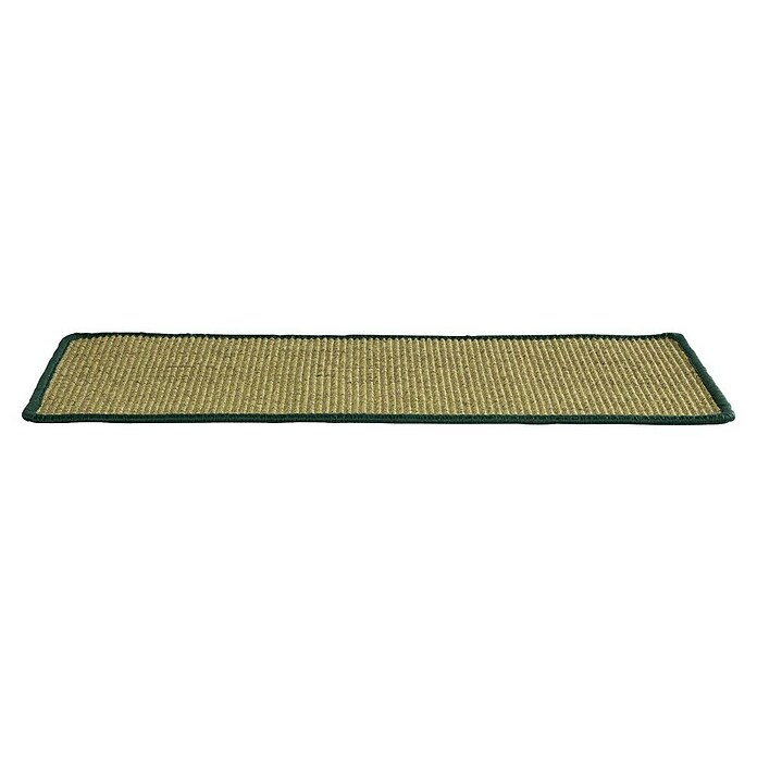 Stufenmatte Sisal (65 x 23,5 cm, 100 % Sisal, Grün) | BAUHAUS