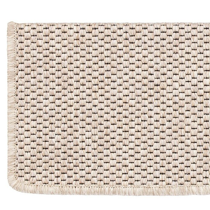 Stufenmatte Kalkutta (65 x 23,5 cm, Beige, Rechteck) | BAUHAUS