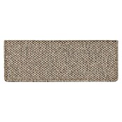 Stufenmatte Kalkutta (65 x 23,5 cm, Taupe, Rechteck) | BAUHAUS