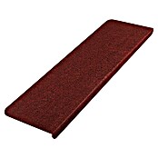 Stufenmatte Leipzig (65 x 25 cm, Rot, Rechteck) | BAUHAUS