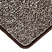Kurzflorteppich Lyon (Braun, 250 x 100 cm, 100 % Polypropylen) | BAUHAUS
