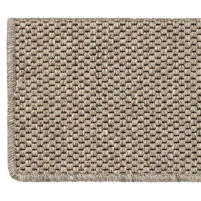 Stufenmatte Kalkutta (65 x 23,5 cm, Taupe, Rechteck) | BAUHAUS