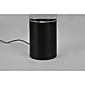 Trio Leuchten Okrasna namizna svetilka Glitter  (Ø x V: 7,2 x 33,7 cm, 0,9 W, RGB) | 3017 - Tischleuchte | CACJ - Tischleuchte | CAC - Indoorleuchten | CA - Beleuchtung | C - Elektro | BAUHAUS