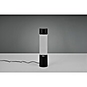 Trio Leuchten Okrasna namizna svetilka Tornado  (0,9 W, Ø x V: 7 x 34 cm, Črna, RGB) | 3017 - Tischleuchte | CACJ - Tischleuchte | CAC - Indoorleuchten | CA - Beleuchtung | C - Elektro | BAUHAUS