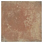 Myth Age Keramische tegel Ayodar 1 (33,3 x 33,3 cm, Bruin, Mat) | BAUHAUS