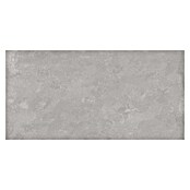 Tau ceramica Keramische tegel Cosmopolita Silver (30 x 60 cm, Silver, Mat) | BAUHAUS