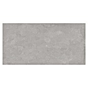 Tau ceramica Keramische tegel Cosmopolita Silver (30 x 60 cm, Silver, Mat) | BAUHAUS