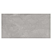 Tau ceramica Keramische tegel Cosmopolita Silver (30 x 60 cm, Silver, Mat) | BAUHAUS