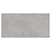 Tau ceramica Keramische tegel Cosmopolita Silver (30 x 60 cm, Silver, Mat) | BAUHAUS