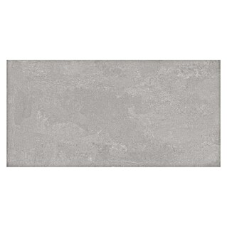 Tau ceramica Keramische tegel Cosmopolita Silver (30 x 60 cm, Silver, Mat)