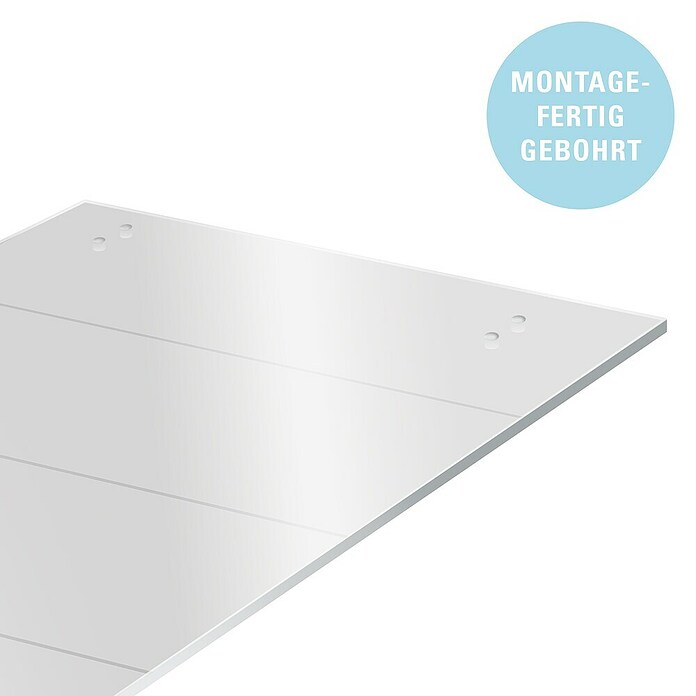 Diamond Doors Schiebetür-Komplettset Galaxy 6.0 (935 x 2 058 mm, Einscheibensicherheitsglas (ESG)) | BAUHAUS
