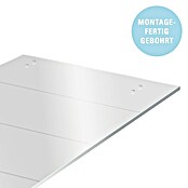 Diamond Doors Schiebetür-Komplettset Galaxy 6.0 (935 x 2 058 mm, Einscheibensicherheitsglas (ESG)) | BAUHAUS