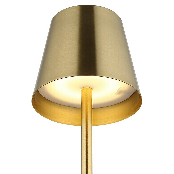 Globo LED namizna svetilka Vannie  (3 W, Medeninasta, Višina: 470 mm, Premer: 112 cm, IP44) | 3017 - Tischleuchte | CACJ - Tischleuchte | CAC - Indoorleuchten | CA - Beleuchtung | C - Elektro | BAUHAUS
