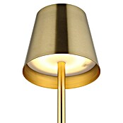 Globo LED namizna svetilka Vannie  (3 W, Medeninasta, Višina: 470 mm, Premer: 112 cm, IP44) | 3017 - Tischleuchte | CACJ - Tischleuchte | CAC - Indoorleuchten | CA - Beleuchtung | C - Elektro | BAUHAUS