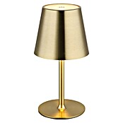Globo LED namizna svetilka Vannie  (3 W, Medeninasta, Višina: 470 mm, Premer: 112 cm, IP44) | 3017 - Tischleuchte | CACJ - Tischleuchte | CAC - Indoorleuchten | CA - Beleuchtung | C - Elektro | BAUHAUS