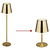 Globo LED namizna svetilka Vannie  (3 W, Medeninasta, Višina: 470 mm, Premer: 112 cm, IP44) | 3017 - Tischleuchte | CACJ - Tischleuchte | CAC - Indoorleuchten | CA - Beleuchtung | C - Elektro | BAUHAUS