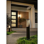 Eglo Baliza exterior Salle (15 W, Color del marco: Negro, Sin bombillas) | BAUHAUS