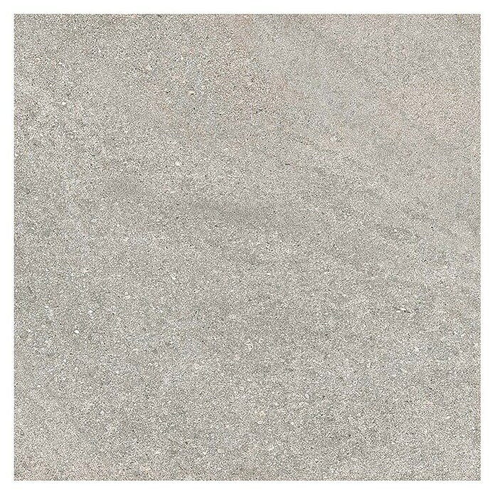 Tau ceramica Keramische tegel Fidenza Gray (60 x 60 cm, Gray, Mat) | BAUHAUS