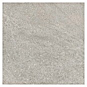 Tau ceramica Keramische tegel Fidenza Gray (60 x 60 cm, Gray, Mat) | BAUHAUS