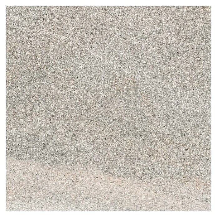 Tau ceramica Keramische tegel Fidenza Gray (60 x 60 cm, Gray, Mat) | BAUHAUS