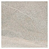 Tau ceramica Keramische tegel Fidenza Gray (60 x 60 cm, Gray, Mat) | BAUHAUS