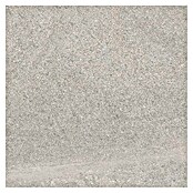 Tau ceramica Keramische tegel Fidenza Gray (60 x 60 cm, Gray, Mat) | BAUHAUS