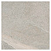 Tau ceramica Keramische tegel Fidenza Gray (60 x 60 cm, Gray, Mat) | BAUHAUS