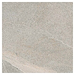 Tau ceramica Keramische tegel Fidenza Gray (60 x 60 cm, Gray, Mat)