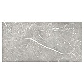 Tau ceramica Keramische tegel Soapstone Silver (30 x 60 cm, Silver, Mat) | BAUHAUS