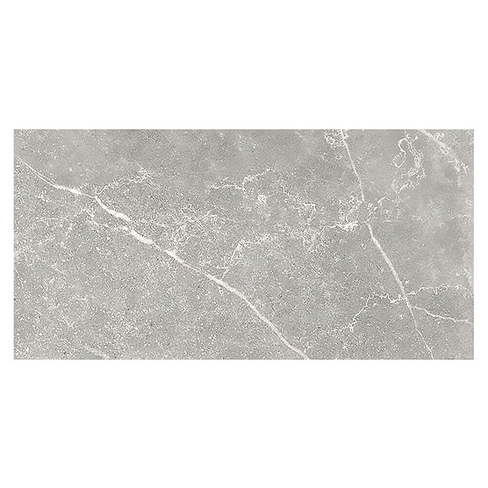 Tau ceramica Keramische tegel Soapstone Silver (30 x 60 cm, Silver, Mat) | BAUHAUS