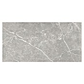 Tau ceramica Keramische tegel Soapstone Silver (30 x 60 cm, Silver, Mat) | BAUHAUS